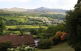 Dwy Olwyn